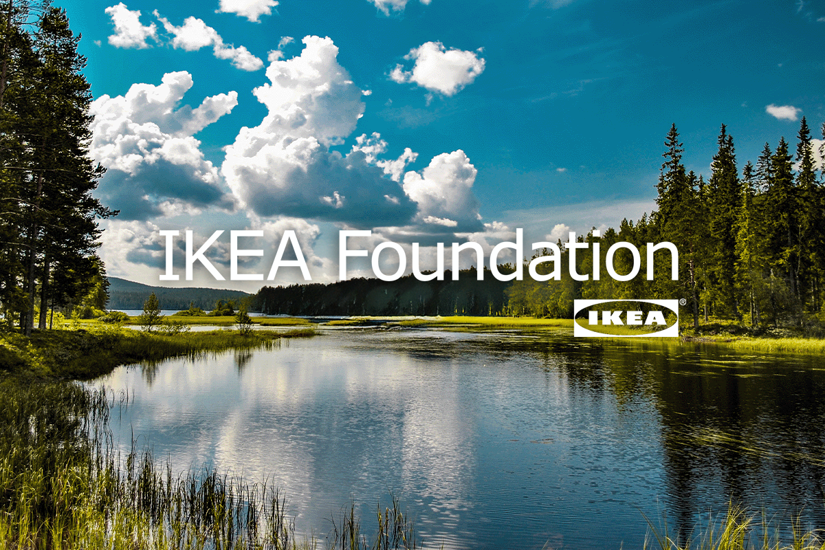 Ikea case study visual 1